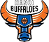 Логотип баскетбольного клуба Hanoi Buffaloes